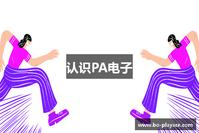 认识PA电子